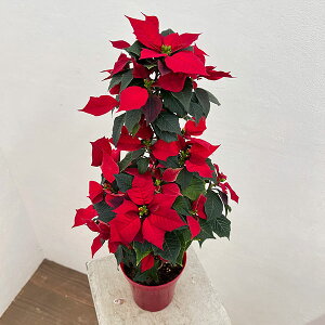 [25N11{\]|CZ`AFbh c[d4A