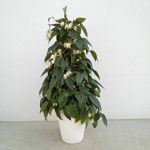 [25N11{\]N}`XFiGVX8c[d