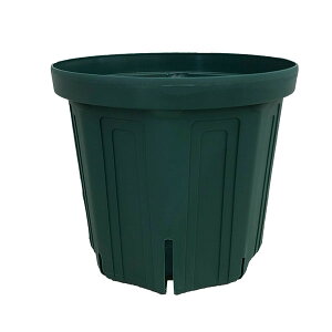 �Ƃ�ł��Ȃ��|�b�g�F6��CSM-180�i���X�O���[���j10�Z�b�g