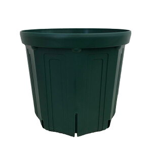 �Ƃ�ł��Ȃ��|�b�g�F8��CSM-240�i���X�O���[���j5�Z�b�g