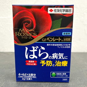 �E�ۍ܁F�}�C���[�Y GF�x�����[�g���a��(2g×6��)�i�o���̃J�r�n�a�C�\�h�Ǝ��Áj