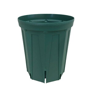 �X���b�g��6�������O�^�C�vCSM-180L�i���X�O���[���j5�Z�b�g