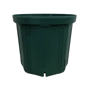 �Ƃ�ł��Ȃ��|�b�g�F10��CSM-300�i���X�O���[���j