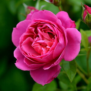 o̕c/[26N1{\]fo[[YFTeOWxc6pA