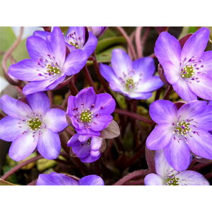 R쑐̕c/[25N11{\]ኄFn@2.5`3