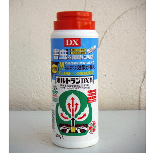 �E���܁F�I���g����DX����200g