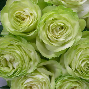 o̕c/[25N12㒆{\]TEIGeBXF킩ȑc6A