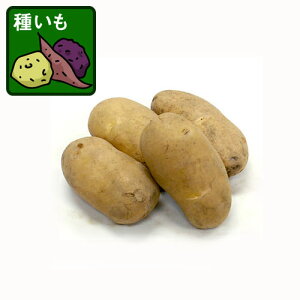 ؂̕c/[26N1{\]WKC̎킢F[NC1kg