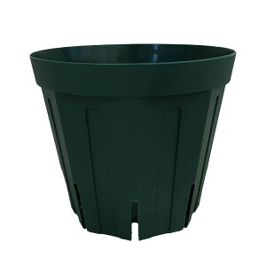 �Ƃ�ł��Ȃ��|�b�g�F4��CSM-120S�i���X�O���[���j5�Z�b�g