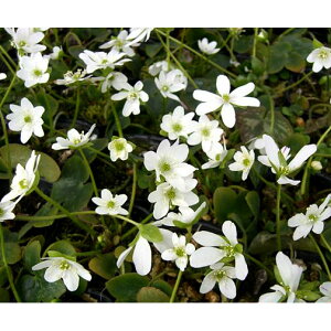 R쑐̕c/[25N11{\]ኄFn@2.5`3