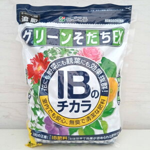 IB�̃`�J�� �O���[��������EX 1.4kg����(�����엿�E10-10-10-1)