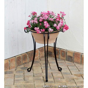 �t�����[�X�^���h�FYWSE-500�i���a26cm�@����50cm�j