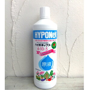 �t��F�n�C�|�l�b�N�X���t 800ml�i6-10-5�j