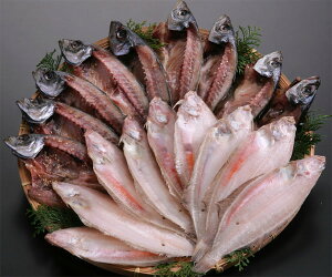 [9]񂾂wJCZbgxiCj(JC{̊J)yޑ܂ށzyⓀzYnɂsłB[2]