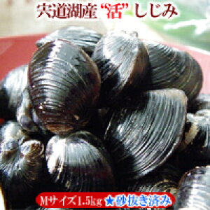 y΁zyς݁E݁zwxa݁iVW~jMTCY1.5kgCX`[E①ʐ^̓C[WłBi䂤pbN蔭j