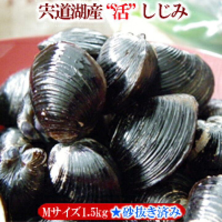 楽天市場】【宍道湖】【砂抜き済み・活しじみ】『活』大和しじみ(シジミ)Mサイズ1.5kg発砲スチロール入・冷蔵発送※写真はイメージです。(ゆうパック限定発送) : 出雲國縁起堂 楽天市場】【宍道湖】【砂抜き済み・活しじみ】『活』大和しじみ(シジミ)Mサイズ1.5kg発砲スチロール入・冷蔵発送※写真はイメージです。(ゆうパック限定発送) : 出雲國縁起堂