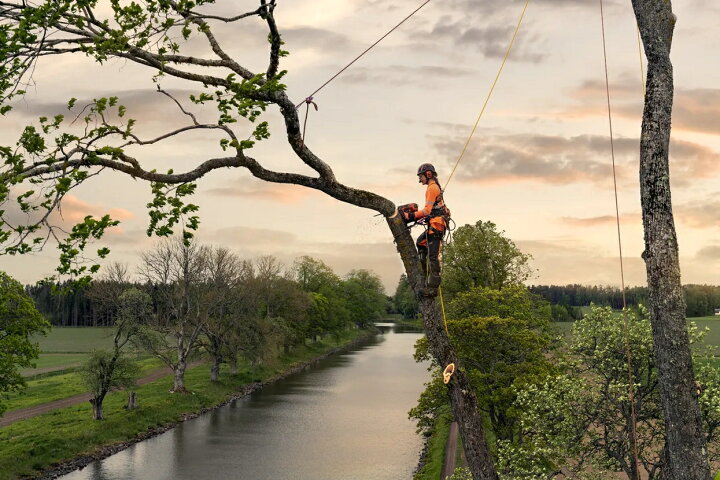 楽天市場】ハスクバーナ チェンソー T540XP Mark III 970517914  