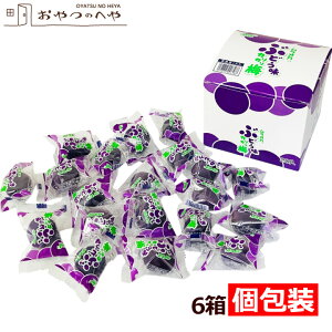 {B Ԃǂ JJ~  i1×20j×6