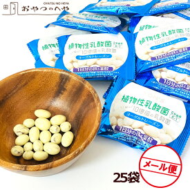 ヨーグルトレーズン 225g（9g×25袋） メール便（代引不可） 小分け 小袋 個包装