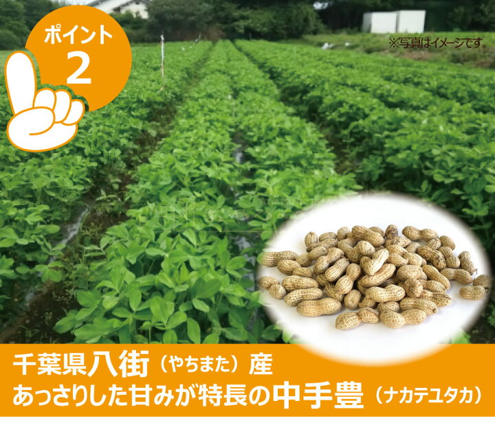 楽天市場】千葉県産 からつき 落花生 国産 400g 中手豊 ナカテユタカ 