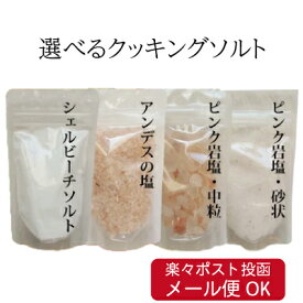 【食用・入浴用OK】ヒマラヤ岩塩ピンクソルト・アンデス岩塩・シェルビーチソルト（海塩）　組み合わせ自由に選べる食塩お試しセット 100g×2