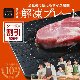 ＼5%OFFクーポン配布中／＼専門家監修／解凍プレート 正規品 解凍板 解凍ツール アルミ 冷凍食品 肉 魚 野菜 自然解凍 省エネ 電気不要 祖熱取り 母の日 クリスマスプレゼント お祝いギフト