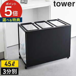 yTtz [ ډBʃ_XgS ^[ 45L 2 3 ] S~܃z_[ bN _XgS  ubN R ʃ_XgS  tower LX^[t ^[V[