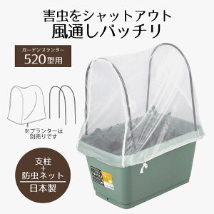 hlbg v^[Jo[ 52cm | K[fv^[520^pxEhlbgZbg hJo[ Jo[  lbg Jo[ K[f v^[ ` x 悯 ʂ _
