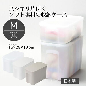 [P[X t^t  ǂłI t^t 炩 [{bNX M ǂłIV[Y ӂ [ P[X {bNX 19.5 s28 16 X^bLO W ①   ʏ 