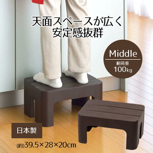 ݑ Xebv ǂłXebv ~h^Cv STYLE+ 20cm L ɂ ~ 炴 S 芴  Lb`  q gC ʑ  O |   Xebv 