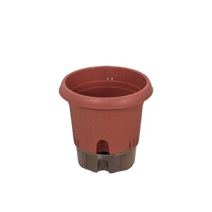 |bg300^ | 10 g[t TChXbgt ƒ؉  Aؔ |bg v^[ vX`bN K[fjO ϗtA |   A  ݃J[ Vv 