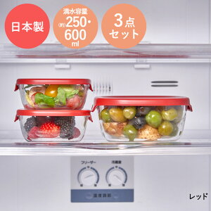 耐熱ガラス製保存容器 3個セット HARIO 日本製 | ガラス ハリオ コンテナ 正方形 四角 フタ付き 電子レンジ オーブン 食洗器 食器洗い 対応 食器になる 透明 中身が見える hario 料理 白 赤 250ml 60