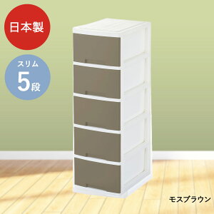 j[CtX [{bNX 5i LX^[t O[p | [ {bNX `FXg m^X o P[X m[P[X [box [{bNX5i [P[X ߑP[X 