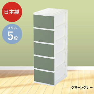 j[CtX [{bNX 5i LX^[t O[p | [ {bNX `FXg m^X o P[X m[P[X [box [{bNX5i [P[X ߑP[X 