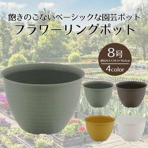 y Gg[Ń|Cgő7{ 11/4()20:00`11/11()1:59܂ zt[O|bg 8 xXgR | v^[ TCY K[f|bg |bg  Aؔ v^[ Ap|bg vX`