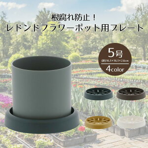 hht[|bgp h~ v[g5 xXgR | 󂯎M M M v[g 󂯎M  \[T[ AؔpM Aؔp vX`bN  5p v 