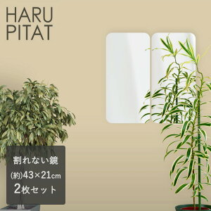ニューはるぴた 430×210mm 2枚組 | 扉 シール コンパクト 玄関 フィルム ノンフレーム リフェクスミラー 防犯ミラー 防犯鏡 浴室 軽量 ウォールミラー おしゃれ 便利 キッチン クローゼット ト