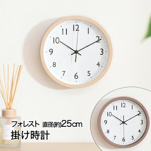 y Gg[Ń|Cg5{ 9/4()20:00`9/11()1:59܂ z |v a25cm tHXg ؖڒ dr sf | v Ǌ| |v  IV 킢 v | EH[