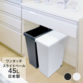 スライドペール 45L ゴミ箱 | ごみ箱 ダストボックス キッチン スリム プラスチック 45l ペール 縦型 分別ゴミ箱 蓋付き ふた付き キャスター付き おしゃれ カウンター下 45リットル 蓋つき シンク下 分別 台所 模様替え 大容量 ふた 引っ越し オシャレ 新生活 隙間 大容量