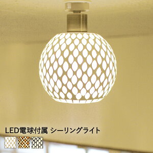 _|Cg10{^ V[OCg 1 Lehtia teBA LEDΉ 4.5 | C_XgA Vv x[VbN VƖ ȃGl CeAƖ ͗lւ V Ɩ  Ɩ 