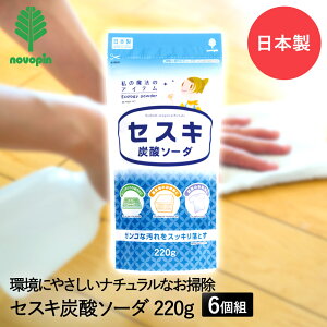 ZXL Y_\[_ 220g×6Zbg Ize { ܂Ƃߔ ܂Ƃ߂Ă | | |p | |p C Y_\[_220g AJ AJ W W܂  Ԃ牘 