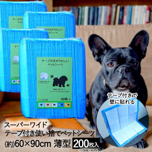 y Gg[Ń|Cgő7{ 11/4()20:00`11/11()1:59܂ zĝ p e[vt ybgV[c ^ X[p[Ch 60×90cm 200 TA223-531-007 X[A[Y | ybgV[g ybg V