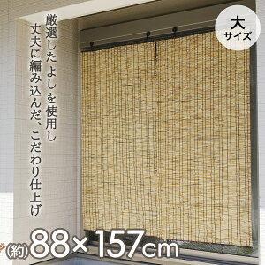 y Gg[Ń|Cgő9{ 9/4()20:00`9/11()1:59܂ z VÂ  88×157cm | ډB O x_ eX  悯 VF[h }V TVF[h 悯VF[h O