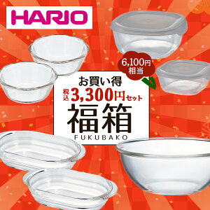 �_�|�C���g5�{�^ �n���I ���ʌ��� �������N�b�L���O�Z�b�g 2026 7�_�Z�b�g HOCK-26-TGR ���{�� | HARIO ���� �L�b�`���p�i �L�b�`���G�� ������� �ۑ��e�� �ۑ� �e�� �ϔM�K���X �ϔM�e�� �K���X �{