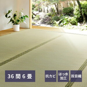 y Gg[Ń|Cg5{ 9/4()20:00`9/11()1:59܂ z J[ybg O 366 273×364cm | ~ 6 36 6 ~ COT  J[ybg  L a oڐD y cn 