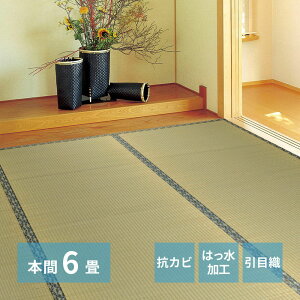 y Gg[Ń|Cg5{ 9/4()20:00`9/11()1:59܂ z J[ybg n {6 286×382cm | ~ 6 { 6 ~ COT   J[ybg  L RJr a 