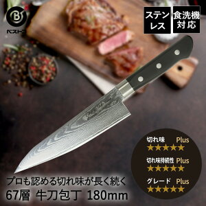_}XJX 67w  180mm FN-101 Of xXgR |  18cm XeX ؂ꖡ HΉ nh  ق傤 イƂ \ 悭؂ iCt   Lb`