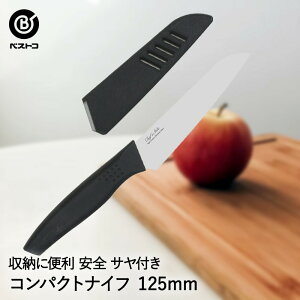 RpNgiCt Tt 125mm FN-164 xXgR | RpNg iCt XeX 12.5cm V[vȐ؂ꖡ ؂ꖡ   RpNg ~j ق傤 \ y Lb` v