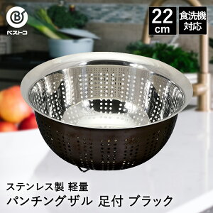 XeX y p`OU 22cm t ubN LD437 xXgR | U  XeX XeXU  ی` XeX ؂ ؂肴 H@Ή   