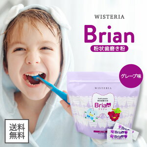 yXgXp[g26ԌN[||Cg2{I9/10 0:00`zuA  Brian 0.5g 60 Y qp O[v